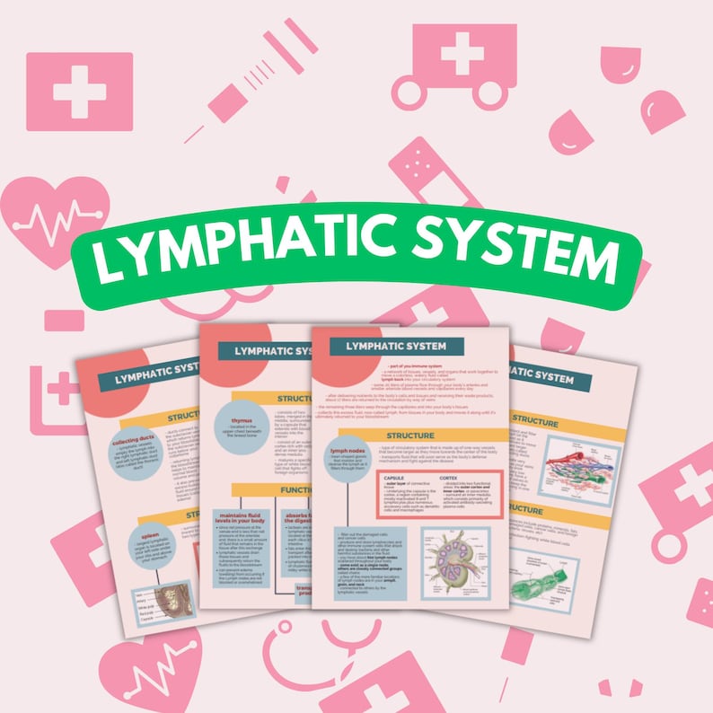 Lymphatic System Study Guide 4 Pages Lymphatic System Study Notes , Doctor Lecture , Nurse in the ...
