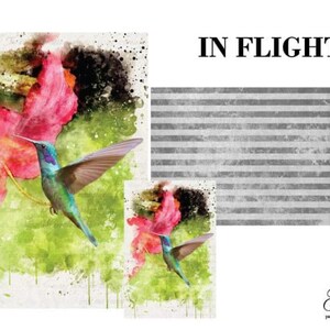 The Painting Lady Designs/HP Distribution - In Flight - Close Out