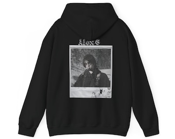 Alex G Hoodie, Unisex Sweatshirt, Music Lover Gift, Band Merch, Heavy Blend Jumper, Graphic Pullover