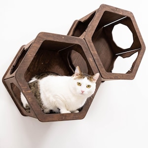 Einzigartiges Katzenregal zur Wandbefestigung, platzsparendes Katzenkletterset, Einweihungsgeschenk für Katzenhalter, Haustierwandmöbel, Katzenkratzerturm
