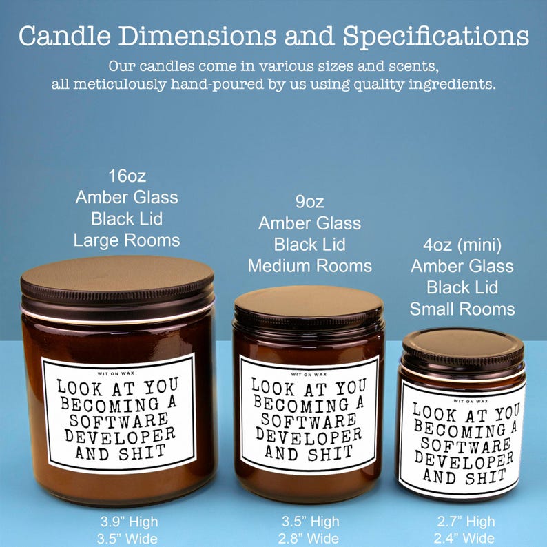 Software Developer Gift for Software Developer Future Software Developer Hand Made Soy Wax Candle Look at You Becoming a Software Developer