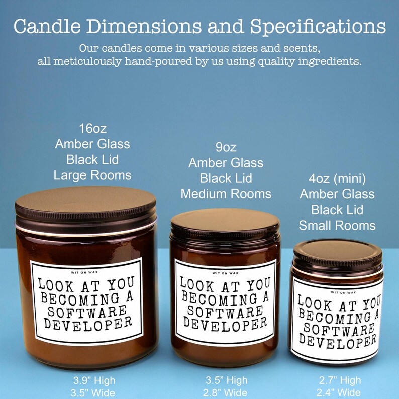 Software Developer Gift for Software Developer Future Software Developer Hand Made Soy Wax Candle Look at You Becoming a Software Developer