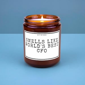 CFO Gift for Chief Financial Office Future CFO Appreciation New Company Gift Promotion School Acceptance Smells Like Worlds Best CFO