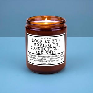 Connecticut Moving Away Gift for Friend Family Moving Home New Job New Life Housewarming Gift Soy Candle Look At You Moving To Connecticut