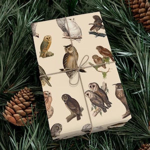 Halloween Wrapping Paper Vintage Owls Gift Wrap Witchy Gift Wrap Dark Academia Wrapping Paper Owl Lover Gift Wrap Whimsigoth Gift Bird Gift
