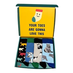 May include: A gift box containing four pairs of patterned socks. The box lid is yellow with the text "YOUR TOES ARE GONNA LOVE THIS" and a cartoon sock. The socks feature cat and dog designs in black, blue, grey, and green.