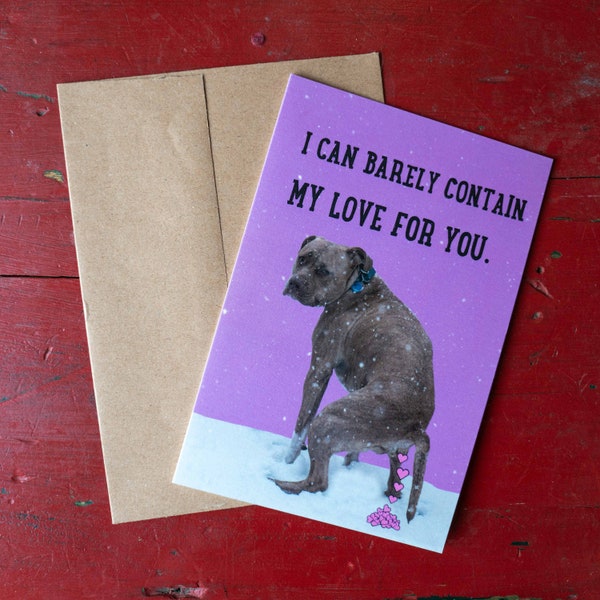 Dog Pooping Card - I Can Barely Contain My Love For You  - Funny Pitbull Card