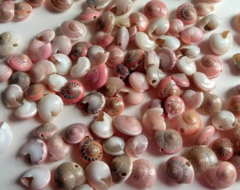 Tiny Pink Drilled Snail Shells, Set of 25 Assorted Pink Umbonium Seashells with Holes