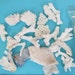 Assorted Coral Pieces, Tiny 1" to 2", Genuine Coral for DIY Shell Crafts, Mermaid Party Decorations, Under the Sea Theme Idea, Wedding Decor