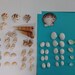 Set of Drilled Shells