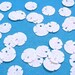 Small Sand Dollars, Set of 10 White Florida Sand Dollars, Great for Wedding Crafts, DIY Wedding Crafts, Shell Crafts, Mermaid Party Favors