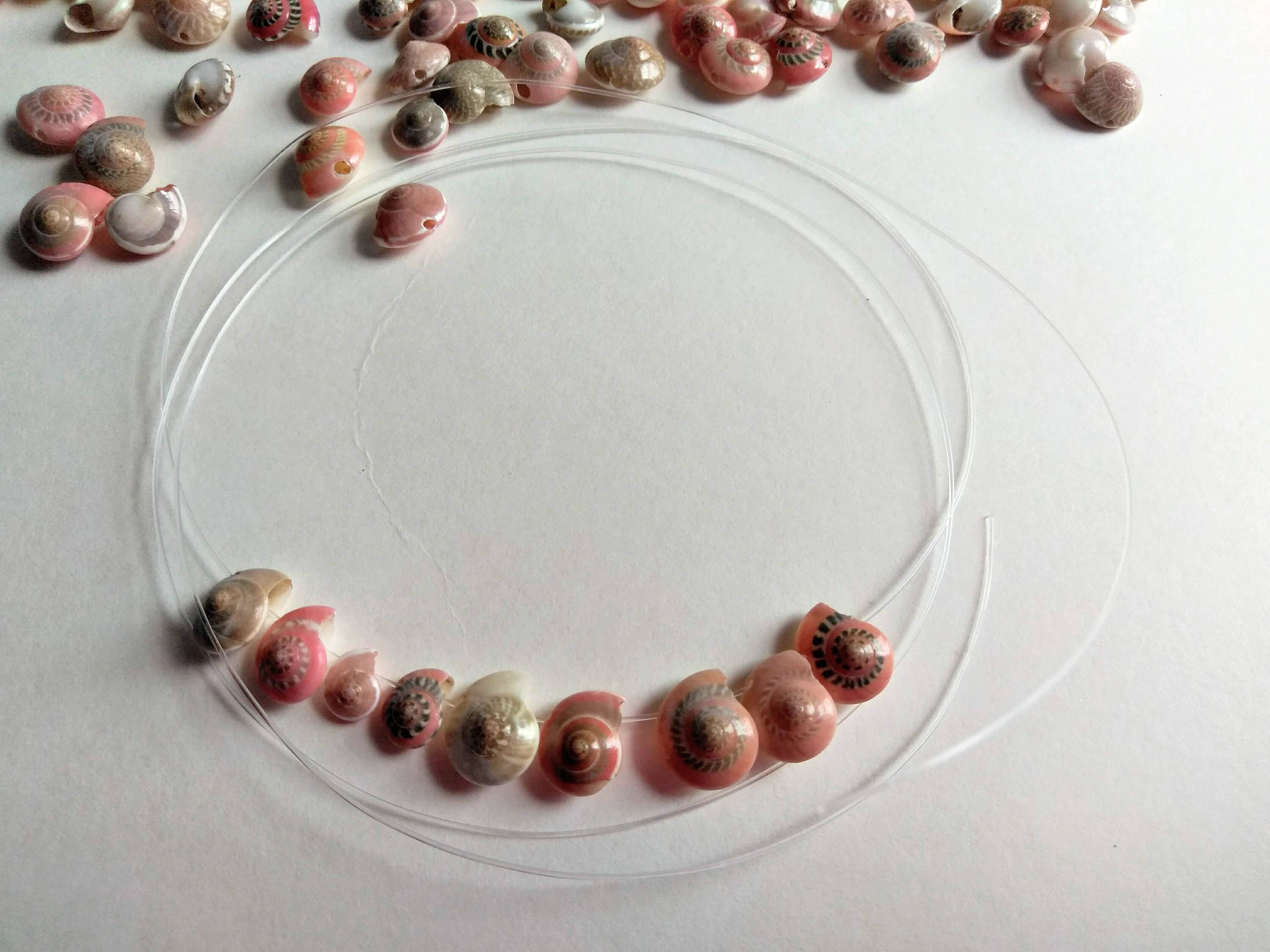 Pink Snail Shell Tiny Pink Drilled Snail Shells, Set of 25 Assorted Pink Umbonium ...
