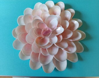 Large 6.5 Inches Seashell Flower