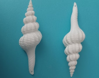 Drilled White Spindle Shells for Making Christmas Ornaments 4" - 5", Sets of 5, 10, 25