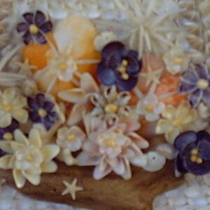 Seashell Flowers 12 Small White Cup Shell Flowers - Etsy