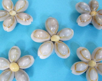 Refrigerator Magnets, Set of 5 Seashell Flower Magnets, Office Note Holders, Locker or Dishwasher Magnets, Picture, Holders for Fridge