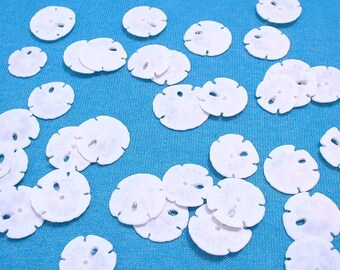 Small Sand Dollars, Set of 10 White Florida Sand Dollars, Great for Wedding Crafts, DIY Wedding Crafts, Shell Crafts, Mermaid Party Favors