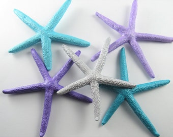 Real Finger Starfish Painted in Mermaid Colors