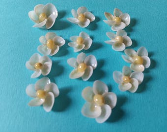 Seashell Flowers, 12 Small White Cup Shell Flowers