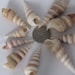 see more listings in the Craft Shells section