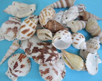 Drilled Seashells, Set of 45 Assorted Seashells with Holes, Make your own Mermaid Party Favors, Do it Yourself Wind Chimes or Jewelry