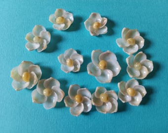 Seashell Flowers, 12 Small White Cup Shell Flowers