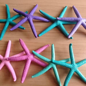 Painted Finger Starfish, Multi Colored 8 Piece Set image 1