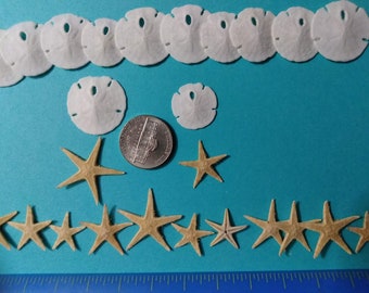 20 Piece Craft Pack, Starfish and Sand Dollars, 10 Small White Sand Dollars and 10 Small Starfish, Wedding Table Decor, Mermaid Party