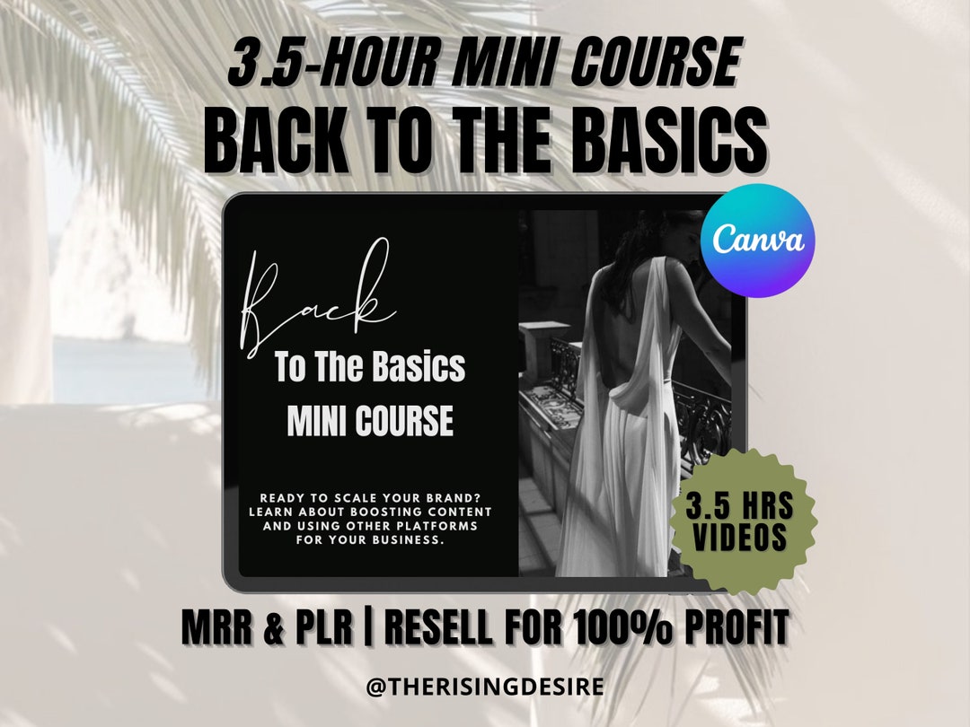 Back to the Basics Digital Course With Master Resell Rights & Private ...