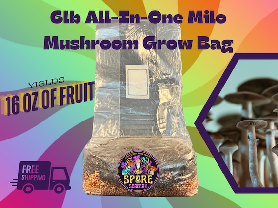 Free Shipping | 6lb Milo ALL-IN-ONE Mushroom Grow Kit | Mushroom Grow Bag