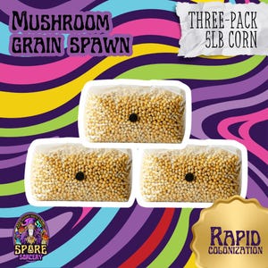 May include: Three 5lb bags of corn grain spawn for mushroom cultivation. The bags are clear plastic and show the corn kernels inside. The text "THREE-PACK 5LB CORN" and "RAPID COLONIZATION" are visible on the image.