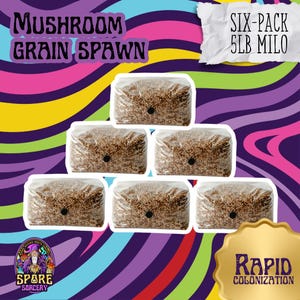 6 Pack | 5lb Milo Sorghum Grain Spawn| Sterile Grain For Mushrooms | Mushroom Bag | Mushroom Grain Spawn | Sterilized Milo | Free Shipping!!