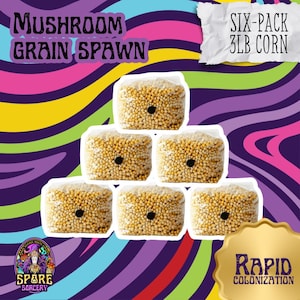 May include: Six-pack of 3 lb corn mushroom grain spawn in clear plastic bags. The bags are stacked in a pyramid shape. The text "Mushroom Grain Spawn" and "Six-Pack 3lb Corn" are visible in the image. The text "Rapid Colonization" is visible in a gold circle at the bottom right of the image.