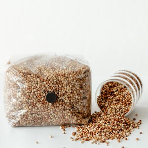 3 lb Milo Sorghum Grain Spawn | Sterile Grain For Mushrooms | Mushroom Bag | Mushroom Grain Spawn | Better Than Rye | Rapid Colonization