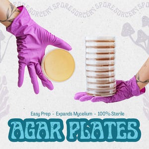 May include: A stack of clear plastic petri dishes with a brown agar medium inside. The dishes are being held by gloved hands. The text "Easy Prep - Expands Mycelium - 100% Sterile" and "AGAR PLATES" is visible below the dishes.
