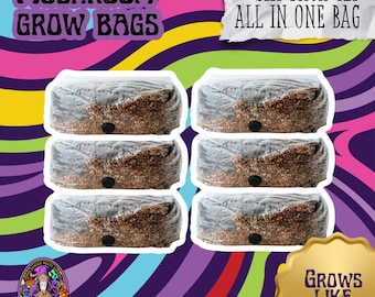 Mushroom Grow Kit: 6 Pack All-In-One 4LB Bag (Spores Not Included)