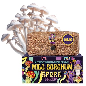 5lb Milo Sorghum Grain Spawn | Sterile Grain For Mushrooms | Mushroom Bag | Mushroom Grain Spawn | Grow Your Own Mushrooms | Mycology