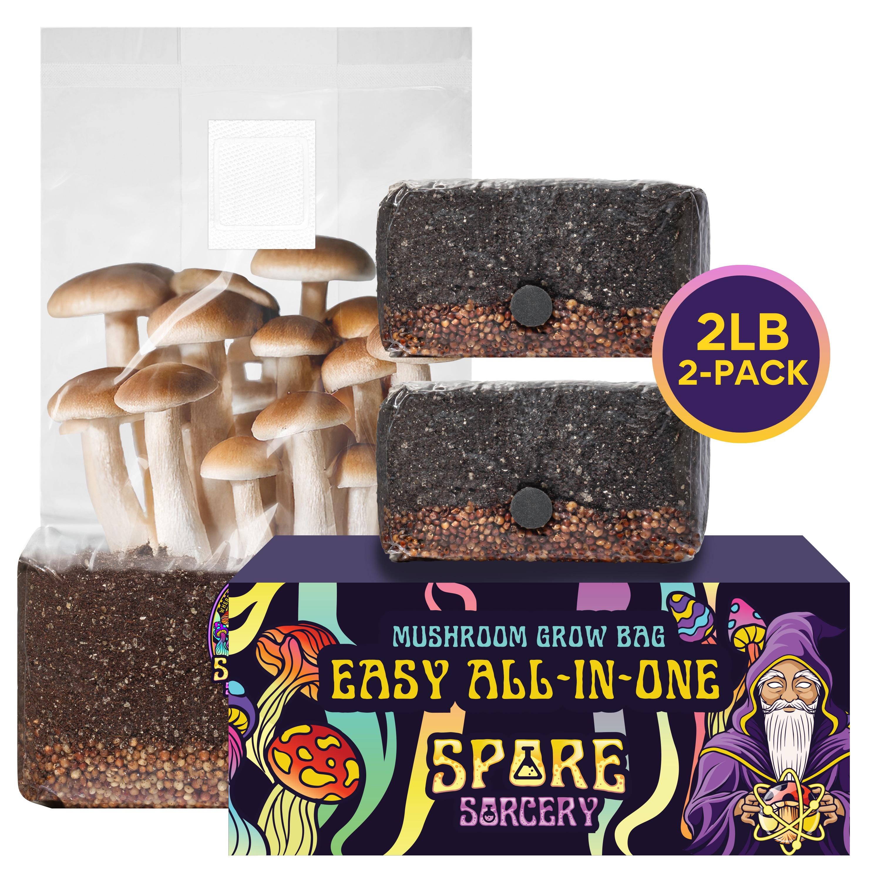 Magic Mushroom Kit - Etsy display picture 1