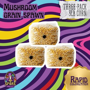 May include: Three 1-pound bags of mushroom grain spawn, labeled "Three-Pack 3LB Corn" and "Rapid Colonization". The bags are filled with yellow corn kernels and have a black circle in the center.