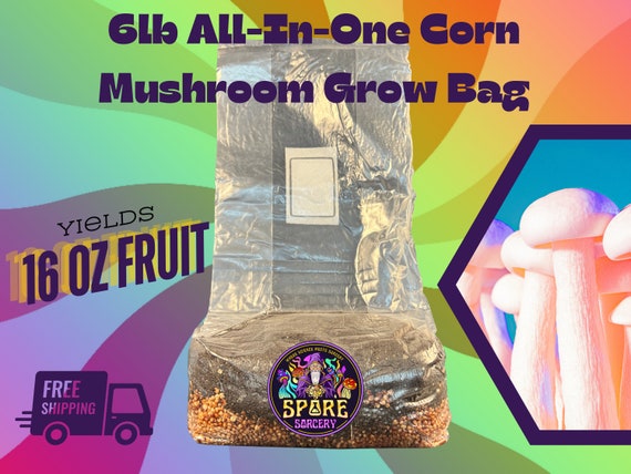 Free Shipping | 6lb Drippy Corn ALL-IN-ONE Mushroom Grow Kit | Mushroom Grow Bag | Grow Mushrooms