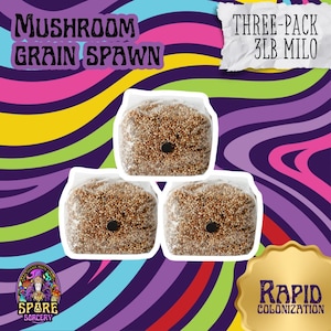 May include: Three 3-pound bags of mushroom grain spawn, labeled "Three-Pack 3LB Milo" and "Rapid Colonization". The bags are clear plastic and show the grain spawn inside.