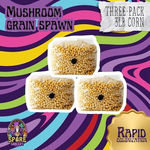 May include: Three 1-pound bags of mushroom grain spawn, labeled "Three-Pack 3LB Corn" and "Rapid Colonization". The bags are filled with yellow corn kernels and have a black circle in the center.