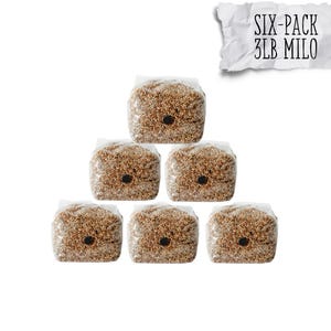 May include: Six clear plastic bags filled with brown milo grains are stacked in a pyramid formation. Each bag has a black circular vent. A crumpled paper with the text "SIX-PACK 3LB MILO" is in the upper right corner.