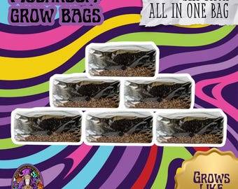 Mushroom Grow Kit: 6 lb All-in-One Bag - 6 Pack Bundle