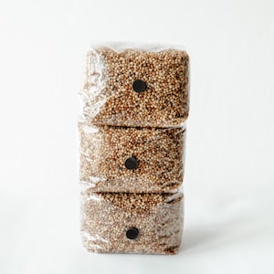 May include: Three clear plastic bags stacked on top of each other, each filled with small, round, tan-colored grains. Each bag has a small, round, black sticker. The bags are stacked against a white background.