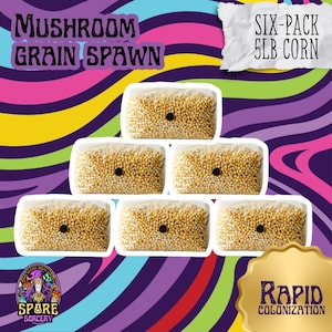 May include: Six-pack of 5 lb corn mushroom grain spawn bags. The bags are clear and show the yellow grain spawn inside. The bags are stacked in a pyramid shape. The text "Mushroom Grain Spawn" and "Six-Pack 5lb Corn" are visible in the image. The text "Rapid Colonization" is visible in a gold seal.