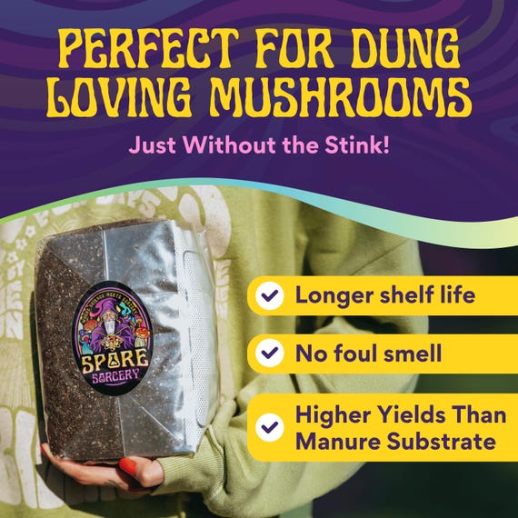 6 Lb All-in-One Mushroom Grow Kit Bag – Substrate & Spawn Ready (Spores Not Included)