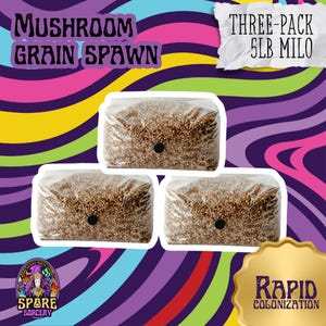 3 Pack | 5lb Milo Sorghum Grain Spawn| Sterilized Grain For Mushrooms | Mushroom Bag | Mushroom Grain Spawn | Mushroom Grow Supplies