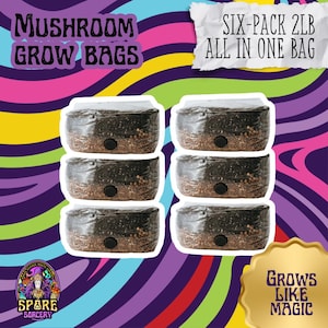 May include: Six mushroom grow bags, each containing 2 pounds of substrate, are stacked in a clear plastic bag. The bags are labeled "Six-Pack 2LB All in One Bag". The image also includes a logo for "Spare Sorcery" and the text "Grows Like Magic".