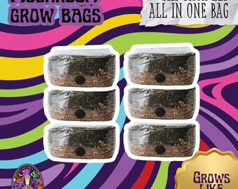 Mushroom Grow Kit: 6-Pack 2LB All-In-One Bag, High Yield